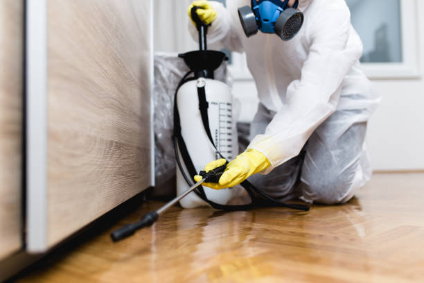 Best Pest Inspection Near Me  in Wolf Trap, VA