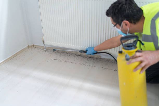 Best Pest Removal Services  in Wolf Trap, VA