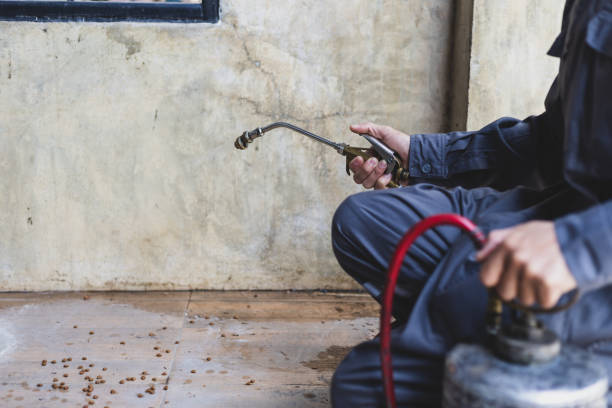 Best Affordable Pest Control Services  in Wolf Trap, VA