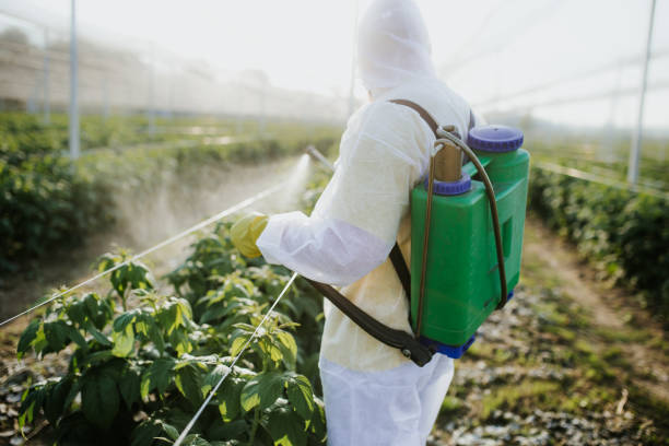 Best Commercial Pest Control Services  in Wolf Trap, VA